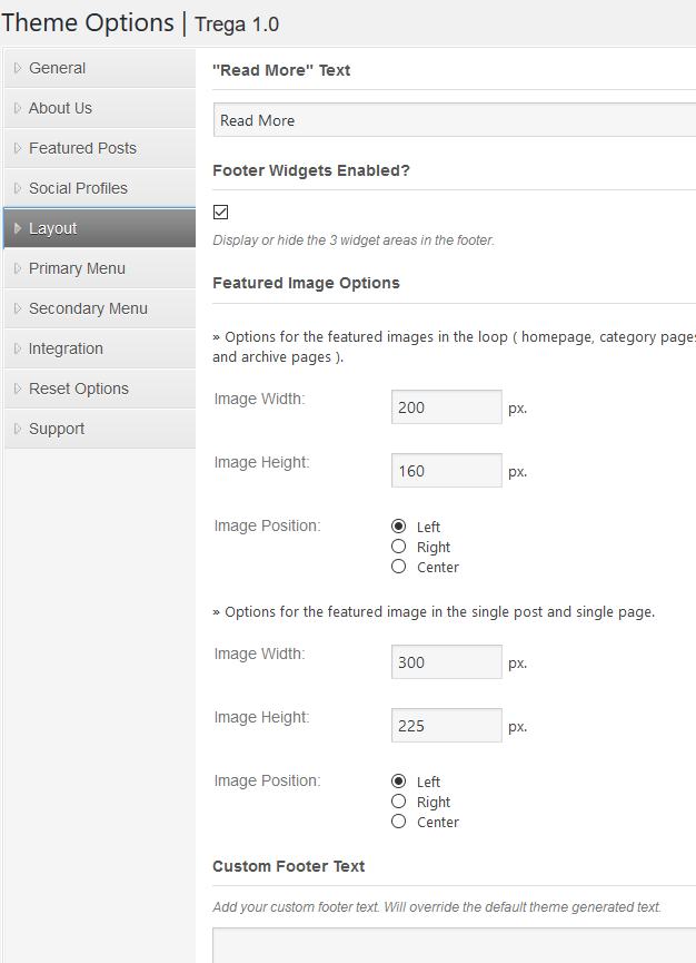 Layout Settings of a WordPress Theme