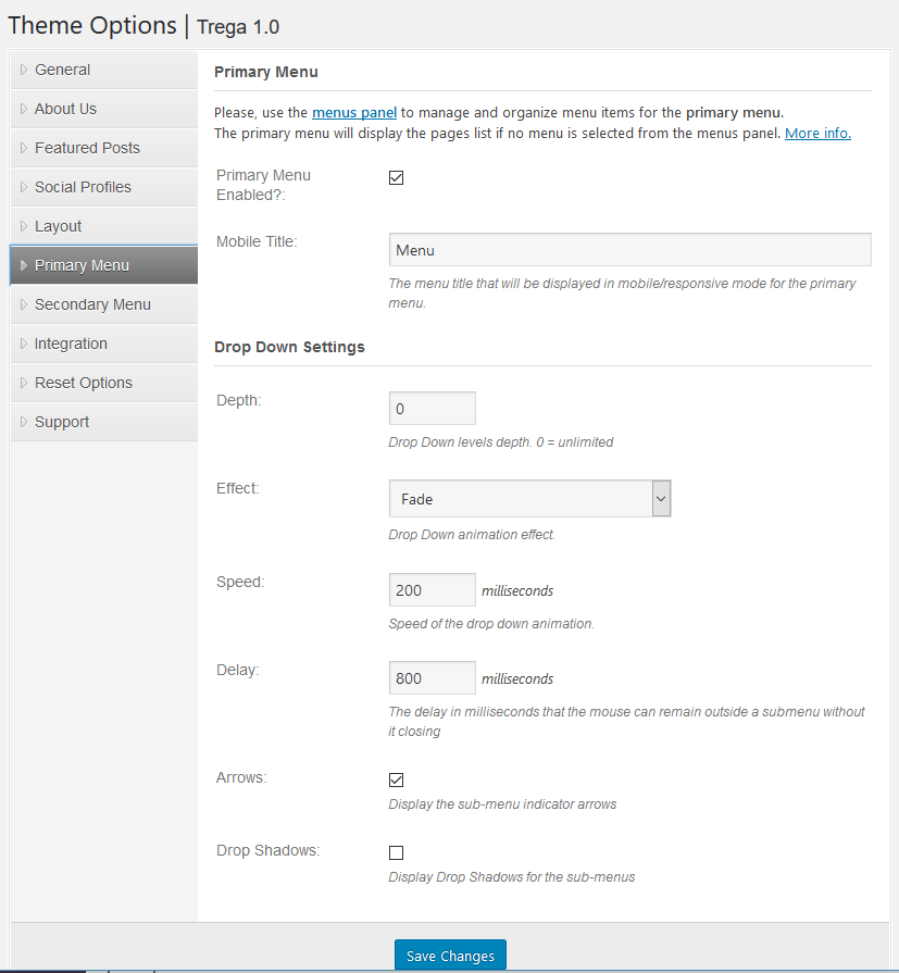 Main Menu settings for the WordPress Theme