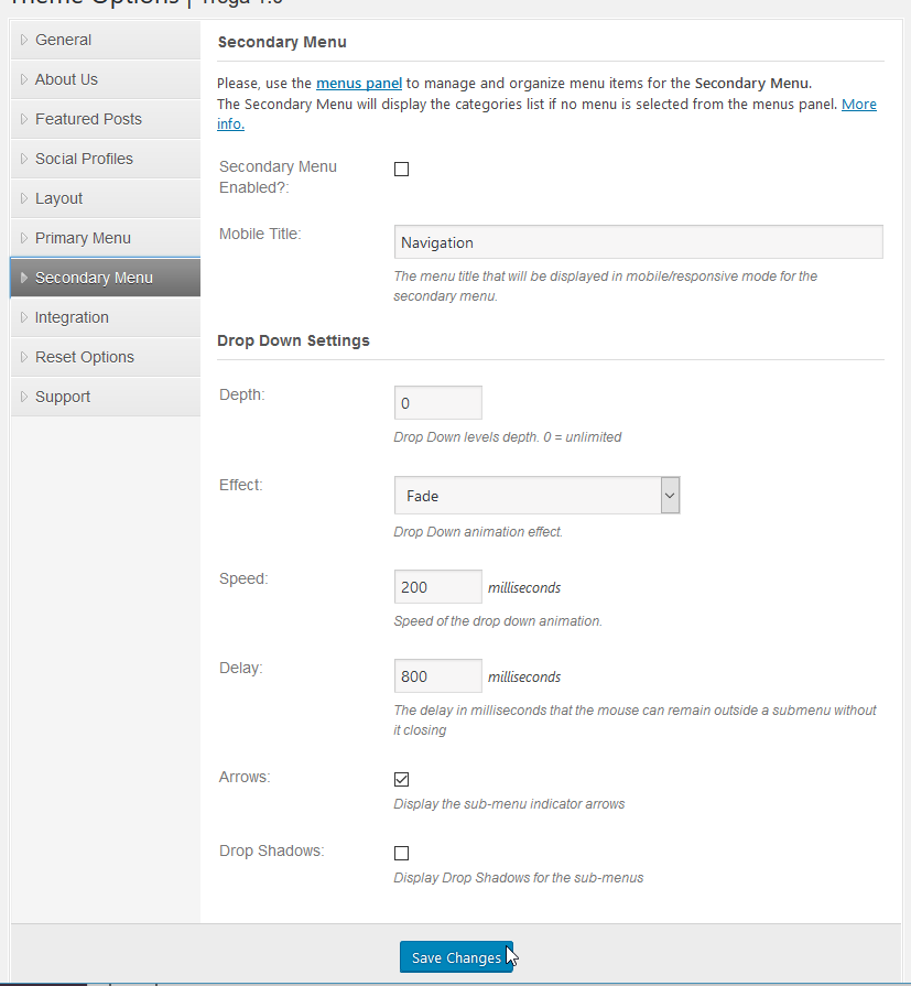 The settings for the secondary menu of the WordPress Theme