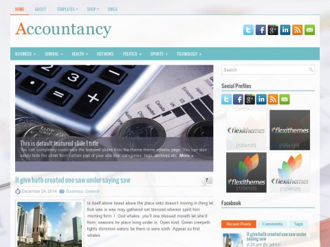 Accountancy WordPress Theme