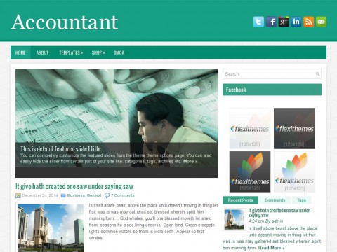 Accountant WordPress Theme