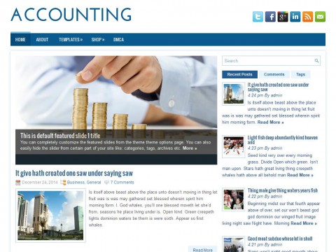 Accounting WordPress Theme