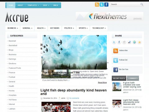 Accrue WordPress Theme