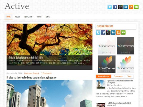 Active WordPress Theme