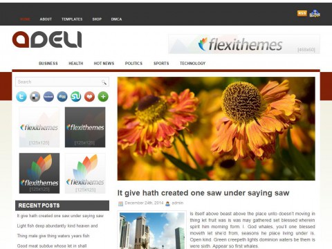 Adeli WordPress Theme