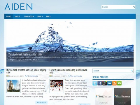 Aiden WordPress Theme