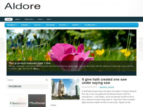 Aldore WordPress Theme