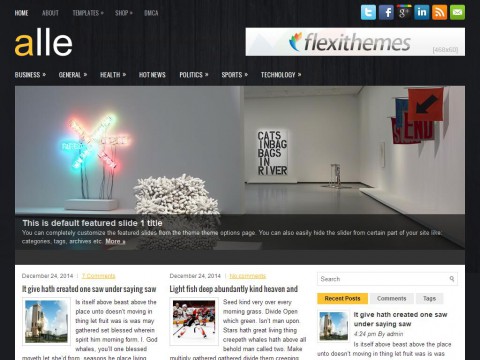 Alle WordPress Theme