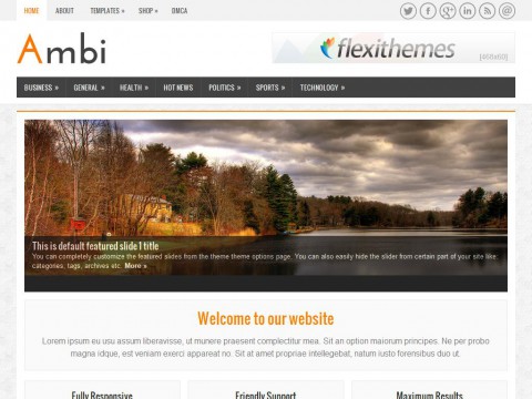 Ambi WordPress Theme