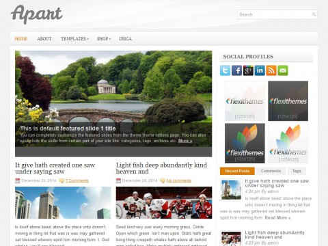 Apart WordPress Theme