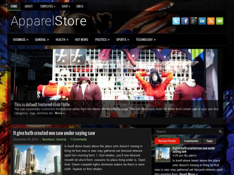 ApparelStore WordPress Theme