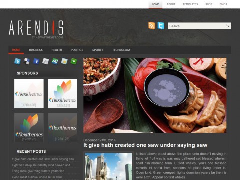 Arendis WordPress Theme