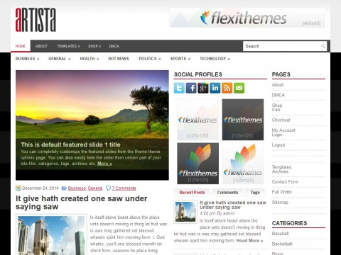 Artista WordPress Theme