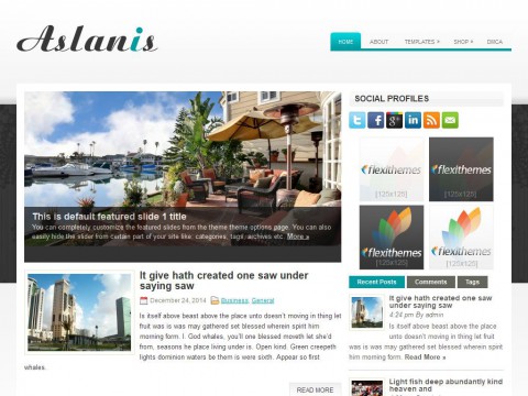 Aslanis WordPress Theme