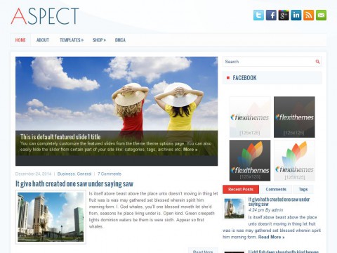 Aspect WordPress Theme