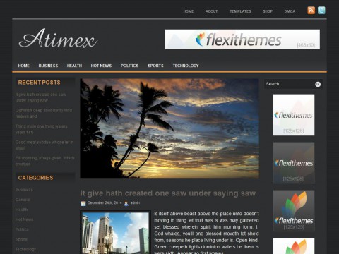 Atimex WordPress Theme