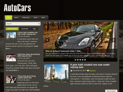 AutoCars WordPress Theme