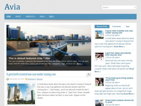 Avia WordPress Theme