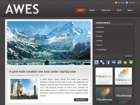 Awes WordPress Theme