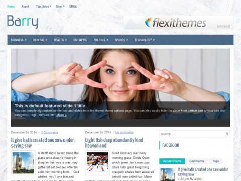 Barry WordPress Theme