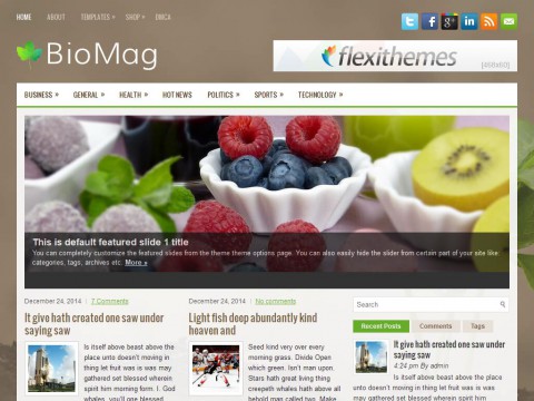 BioMag WordPress Theme