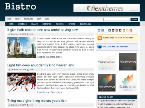 Bistro WordPress Theme