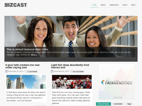 BizCast WordPress Theme