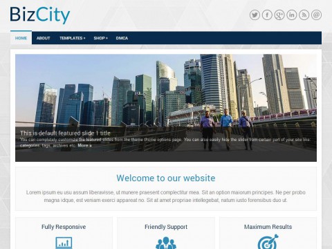 BizCity WordPress Theme