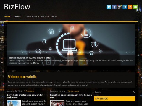 BizFlow WordPress Theme