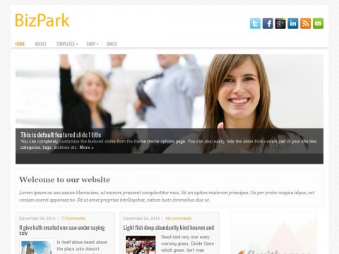 BizPark WordPress Theme