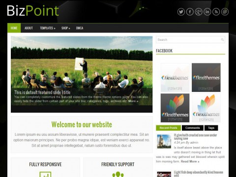 BizPoint WordPress Theme