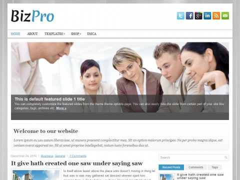 BizPro WordPress Theme