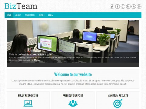 BizTeam WordPress Theme