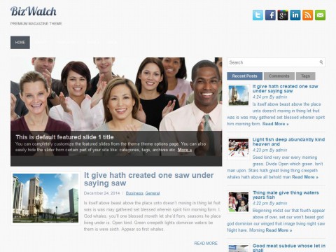 BizWatch WordPress Theme