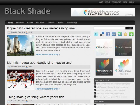 Black Shade WordPress Theme