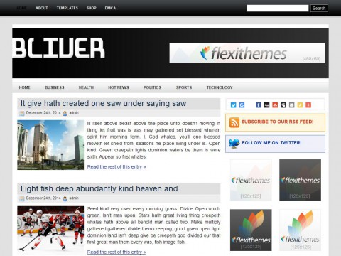 Bliver WordPress Theme