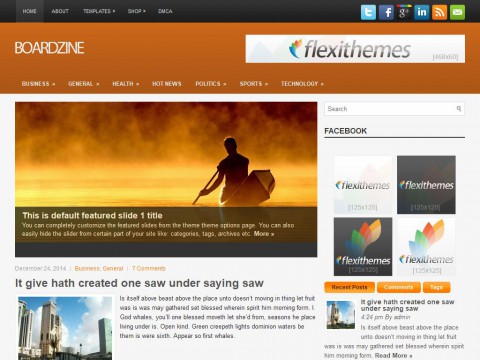 BoardZine WordPress Theme