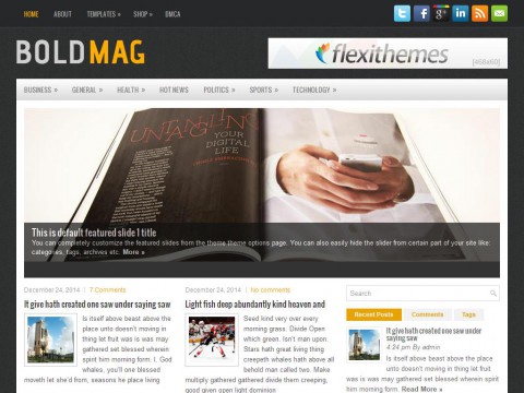 BoldMag WordPress Theme