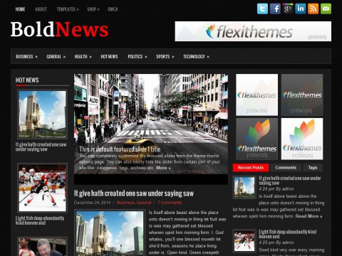 BoldNews WordPress Theme