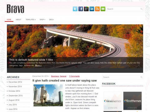 Brava WordPress Theme