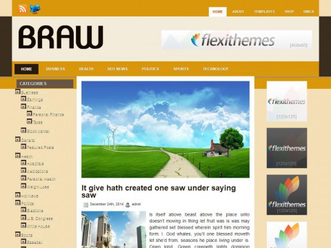 Braw WordPress Theme