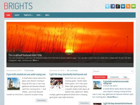 Brights WordPress Theme