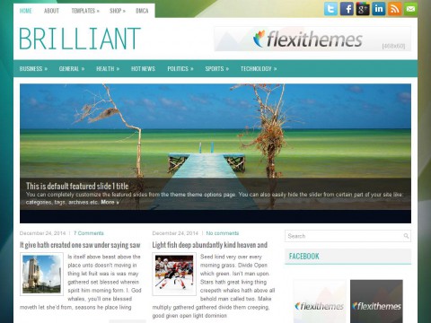 Brilliant WordPress Theme