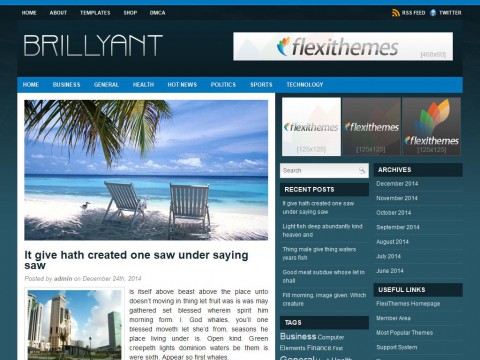 Brillyant WordPress Theme