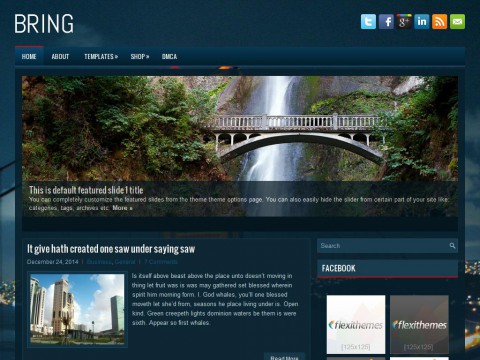 Bring WordPress Theme