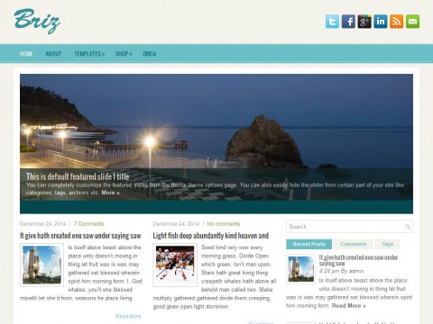 Briz WordPress Theme