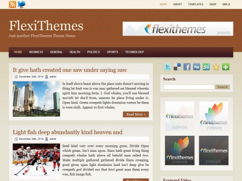 Browny WordPress Theme