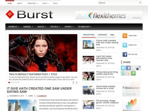 Burst WordPress Theme