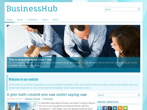 BusinessHub WordPress Theme