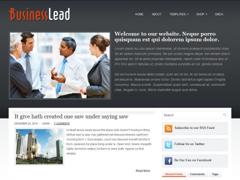 BusinessLead WordPress Theme